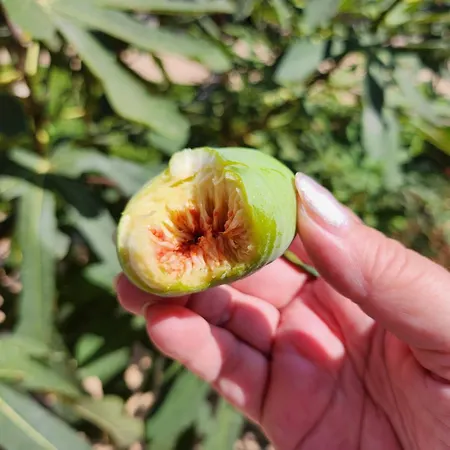 úchvatný Výhled Na Moře *