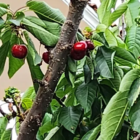 Apartmán úchvatný Výhled Na Moře