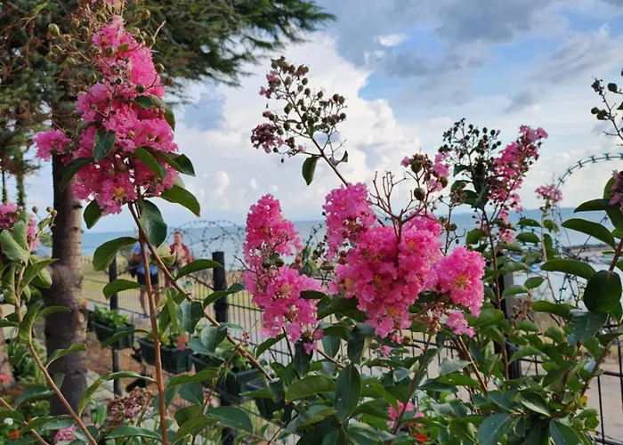 Uchvatny Vyhled Na *