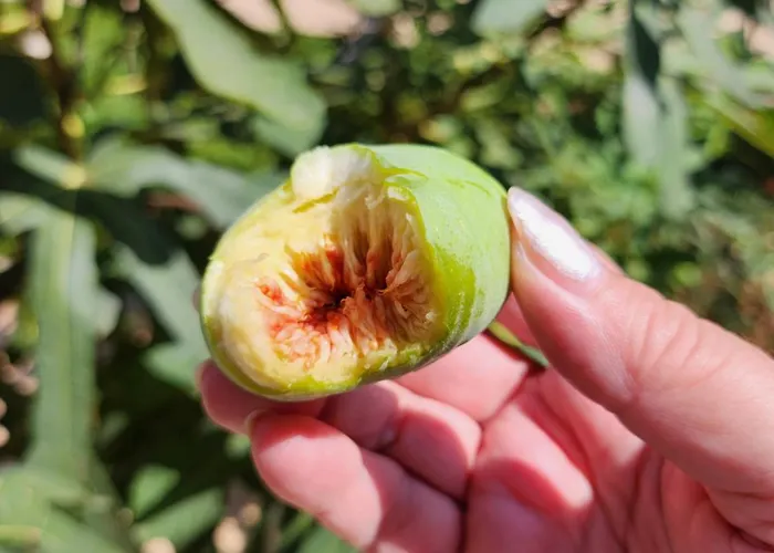 Uchvatny Vyhled Na *