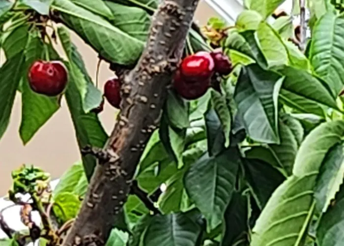 Апартамент Uchvatny Vyhled Na